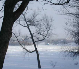 winter lake picture